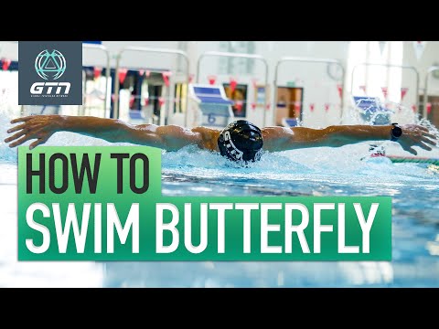 How To Swim Butterfly | Technique For Butterfly Swimming