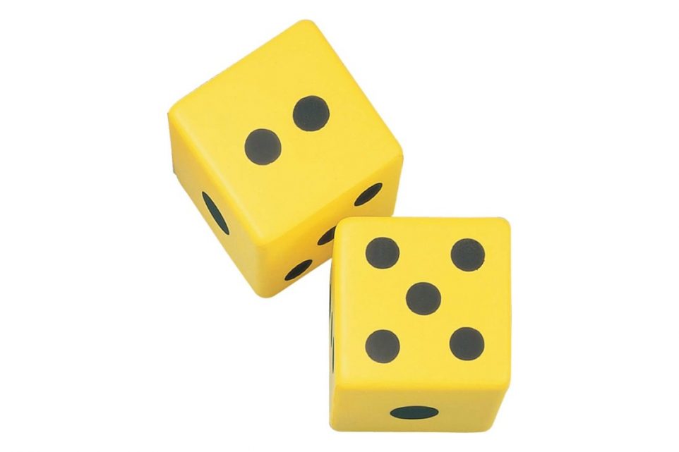 champion sports 6 inch coated foam dice review