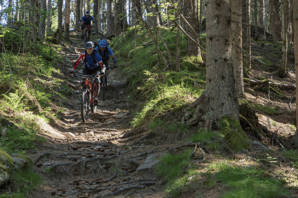 trail cycling