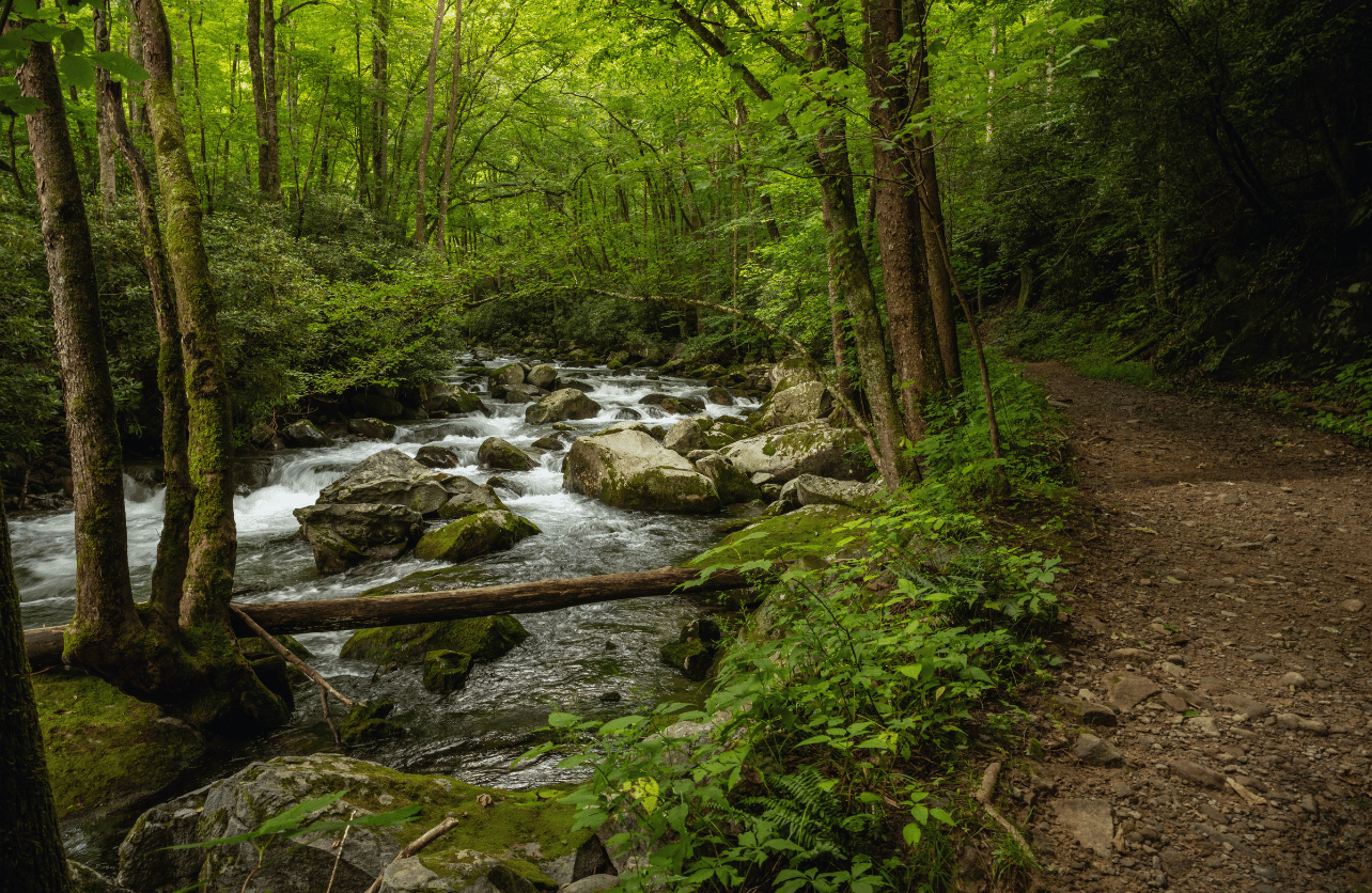 running trail