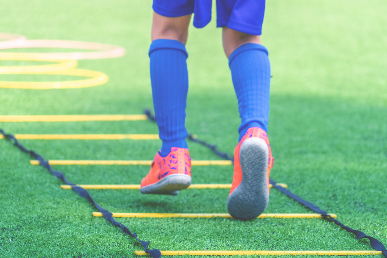 Agility ladder